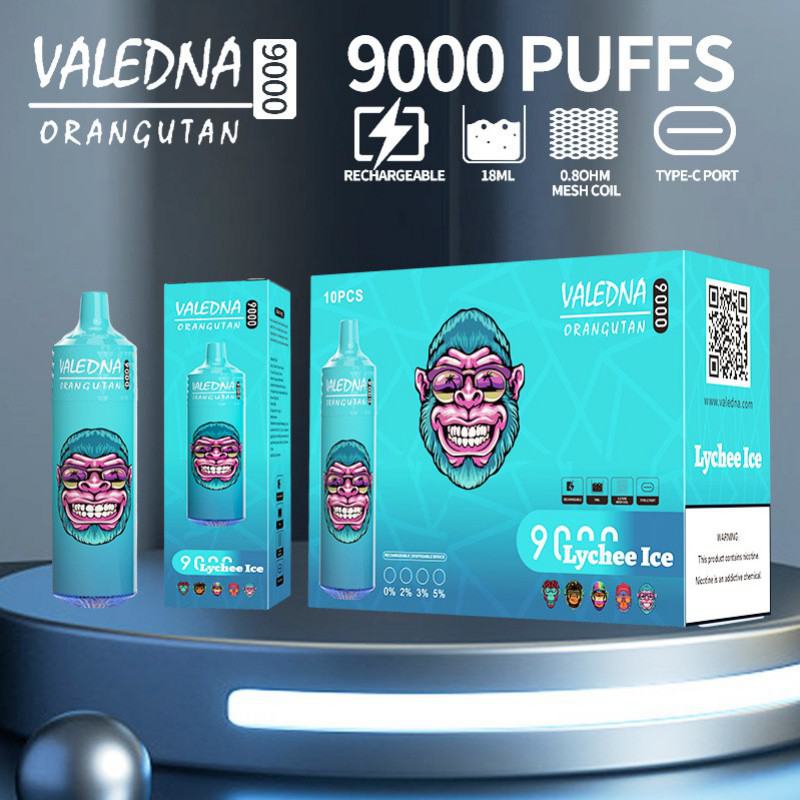VALEDNA 055 9000 Puffs Pen
