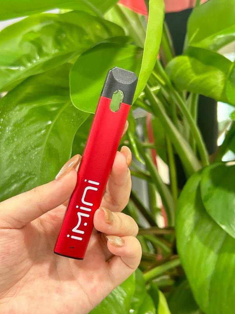 IMINI C13 Vape Pen