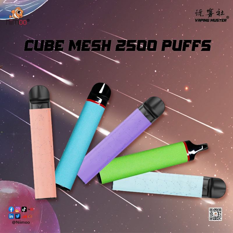 Niimoo Big Puff Pens Plus