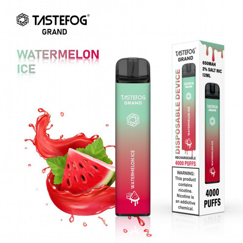 TASTEFOG Vape Tastefog Grand 3500 Puffs