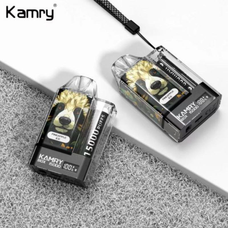 Insta Kamry Box 15000 Pod 7500 Puffs Vape Big Puff Pen Plus