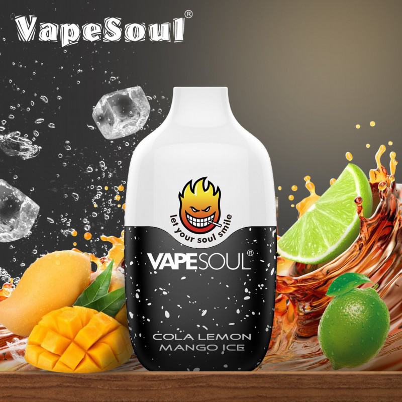 Disposable Vape soul Soul V-dual Brands