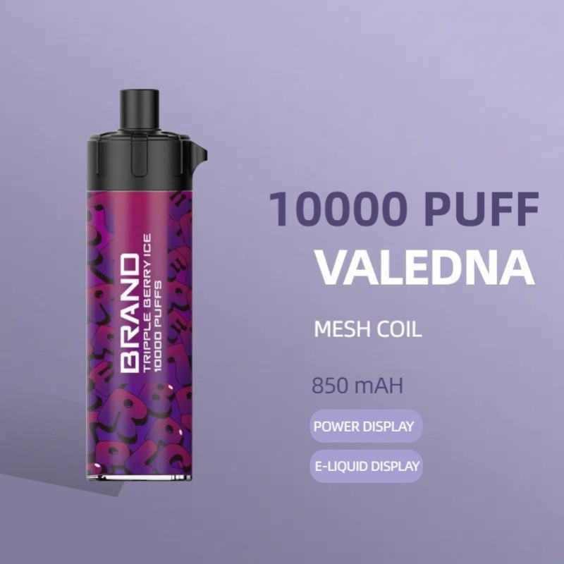 VALEDNA Vape Pen 063 10000 Puffs