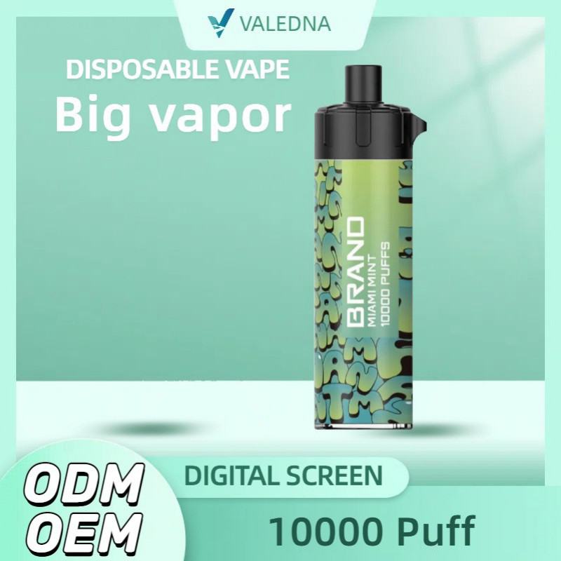 VALEDNA Vape Pen 063 10000 Puffs