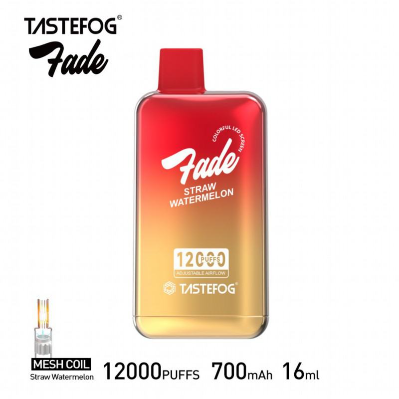 Tastefog Square 12000 Puffs Disposables Vape