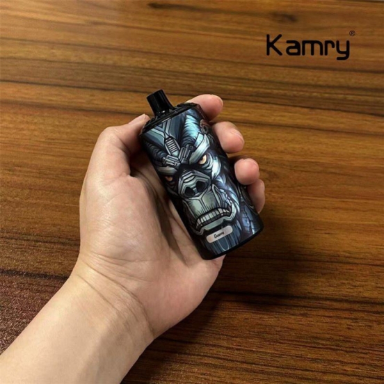 Top Picks 2024 Kamry Kamry Boss Pen Vape