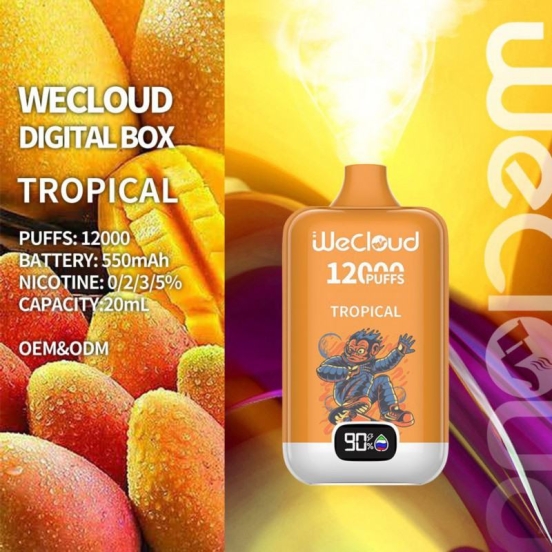 Pairyosi Wecloud Py 12000 Puffs Wholesale Vapes