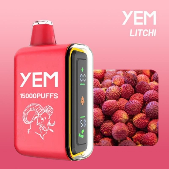 Wholesale Iplay Td15-55 15000 Puffs Disposable Vape