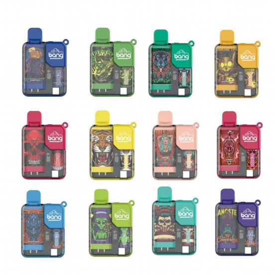 2024 Best Vape Pen Bang Wholesale 12 Disposable Vape