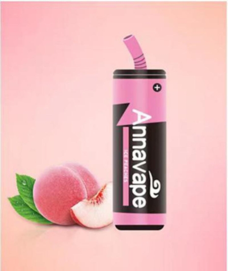 Superior Quality Wholesale zbood Anna 6000 Vape Pens