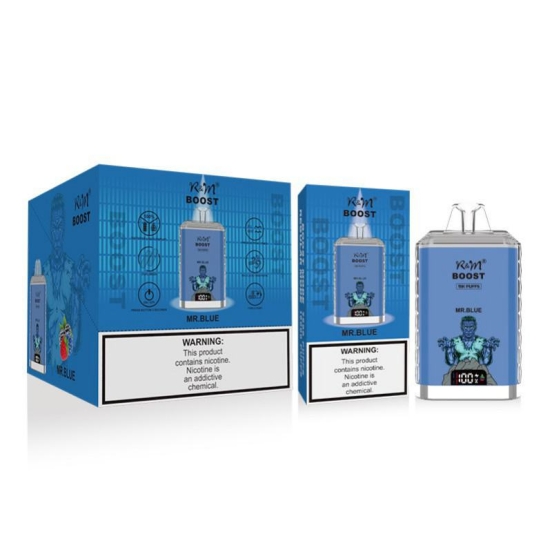 Customizable R&M BOOST 15K Wholesale 15000 Puffs Wholesale Price