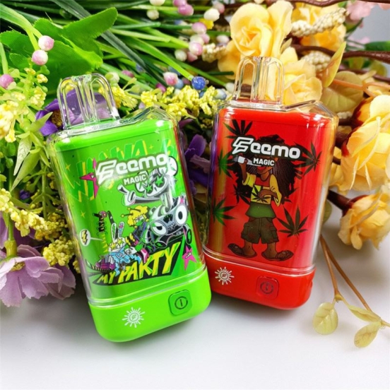 2024 Bulk Pricing Wholesale Disposable Vapes Blizzard Feemo Magic Hidden Cartridge Box Battery