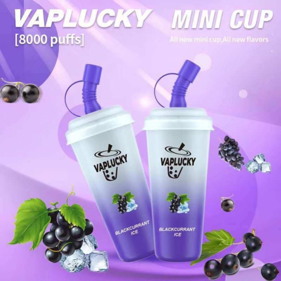 Baish Vaplucky Cup 9000 Brands Disposable Vape