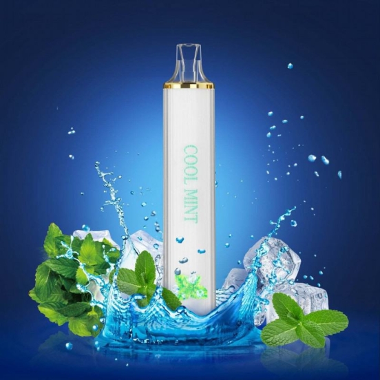 Top Sale Randm V 800 Puffs Wholesale Price