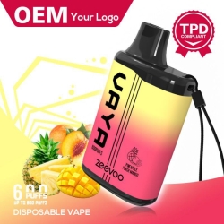 Disposable Big Hit Vape Your Logo Vaya 600 Puffs