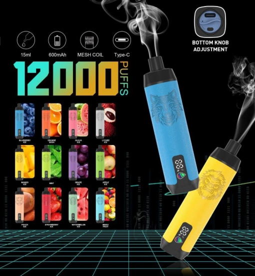 N/M Dtl 12000 Puffs Wholesale Vape