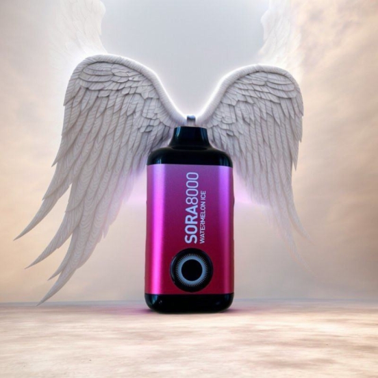 2024 Bulk Price Smooth Hit Disposable Vape FV Sora 8000 Puffs