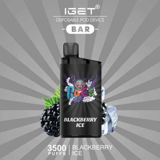 Best Vape Wholesale Disposable Vape Iget 3000 Puffs