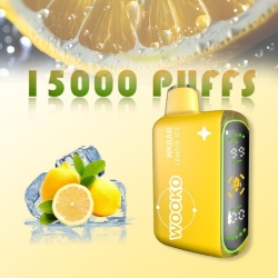 OEM Wk06 15000 Puffs Disposable Smooth Hit Vape