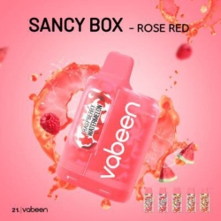 Vabeen Vabeen Sancy Box Kit 4000 Puffs Vape Rechargeable