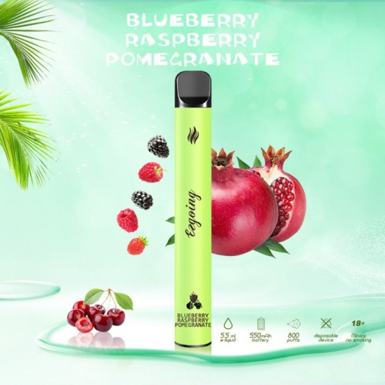 2024 Bulk Price Wholesale Vape Pen Ezgoing Ezgoing-800 About 800 Puffs