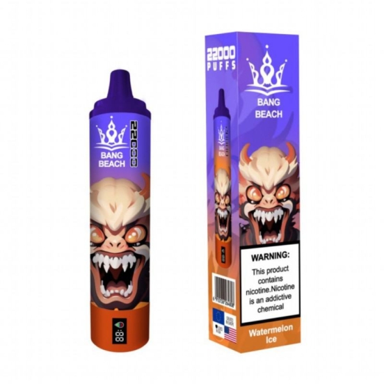 Vape Disposable Wholesale Bang Beach