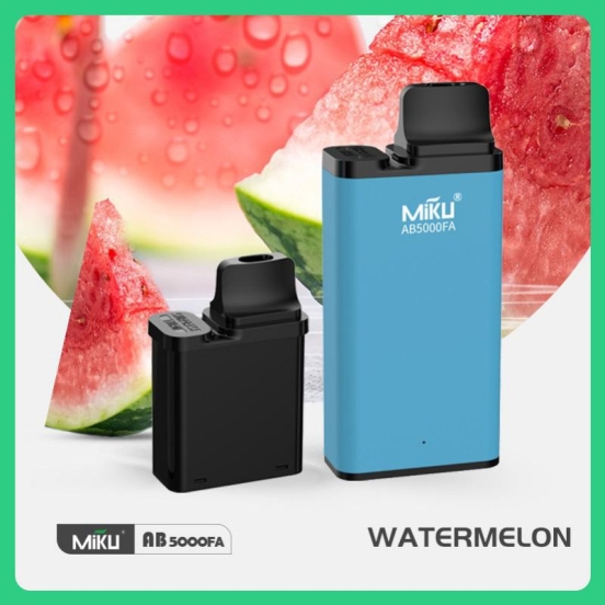Top Picks 2024 Miku Ab5000fa311 Wholesale Price Disposable Vape Pen