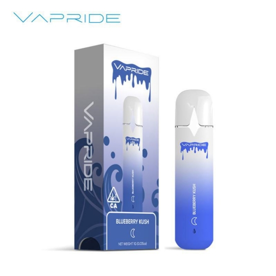 Best Vape VAPRIDE Vapride Vp80 Empty Wholesale Vapes