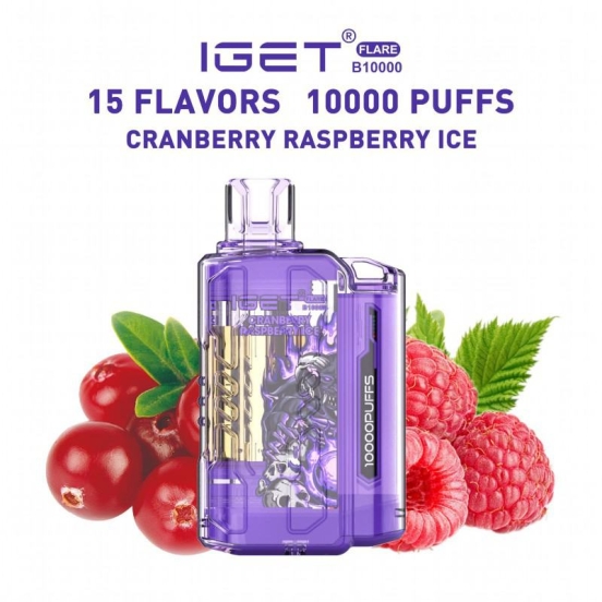 Disposable Vape Brands Iget Flare B 10000 Puffs