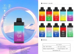 D Puff Dv Box Bl10000 6000 Puffs Disposable E-cigarette