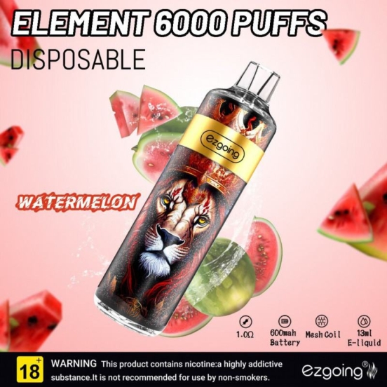 Bulk Price Ezgoing Wholesale Disposable Vape Pen Fk03