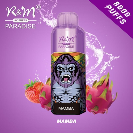 Randm Disposable Vapes R&m Paradise 8000 9000 Puffs Wholesale