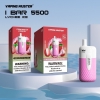 Disposable Niimoo E-cigarette Ndi 5500 Puffs Nicotine
