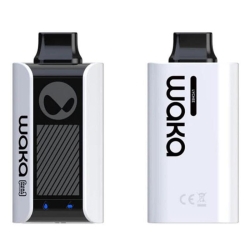  Pen Vape Pa10000 7000 Puffs