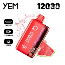 Big Puff Bars Plus YEM Bm12s-101tz 12000 Puffs Vape