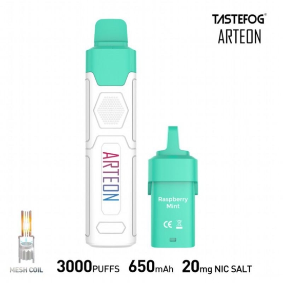 Best Selling TASTEFOG/OEM Pen Arteon 6000 Puffs