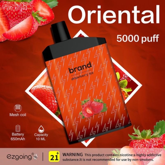 Bulk Price Ezgoing Vape Ezgoing -fk047 5000 Wholesale