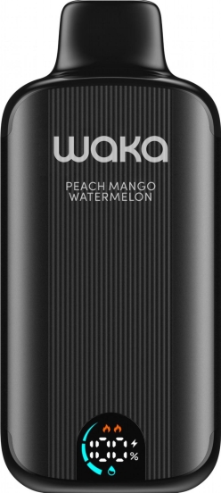 Disposable zbood E-cigarette Waka Sopro 15000 12000 Puffs Nicotine