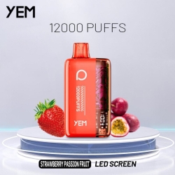 Disposable Big Hit Vape YEM Bm12s-37bs 12000 Puffs