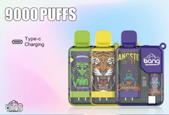 Bulk Price Disposable Bang Vape Focol Big 9000 Puffs Pens Wholesale Price
