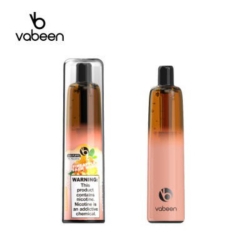 Vabeen Jiandun Vabeen Plum 5000 Puffs