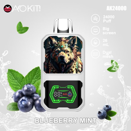 Disposable Vape Wholesale Baish Aokit 24000