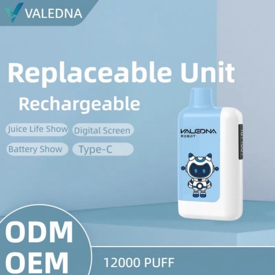 Superior Quality Wholesale VALEDNA 064 12000 Puffs Disposable Vape