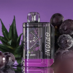 Lost Orion 8000 Puffs Electronic Cigarette