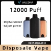 Disposable Vape VALEDNA W01 12000 Puffs