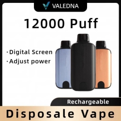 Disposable Vape VALEDNA W01 12000 Puffs