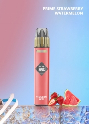 OEM Plus Refillable Dual Flavor