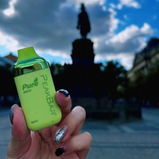 Peak D095 600 Puffs Disposable Big Hit Vape