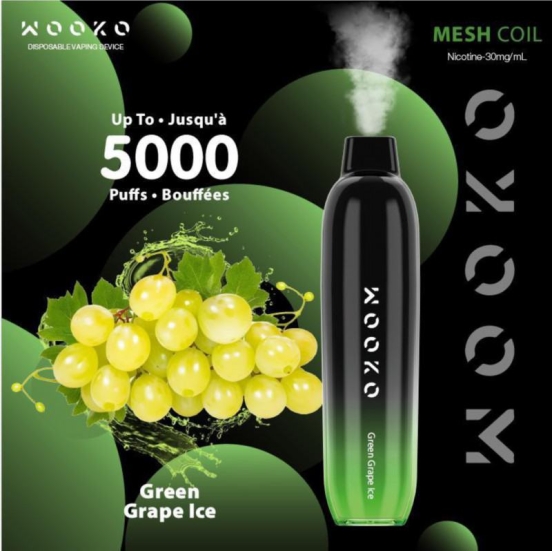 2024's Premium Vape Pen Wooko Wk05 Disposable Vape Pod