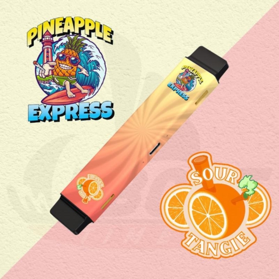 Wholesale Vape Pen Eboattimes Twins Pod